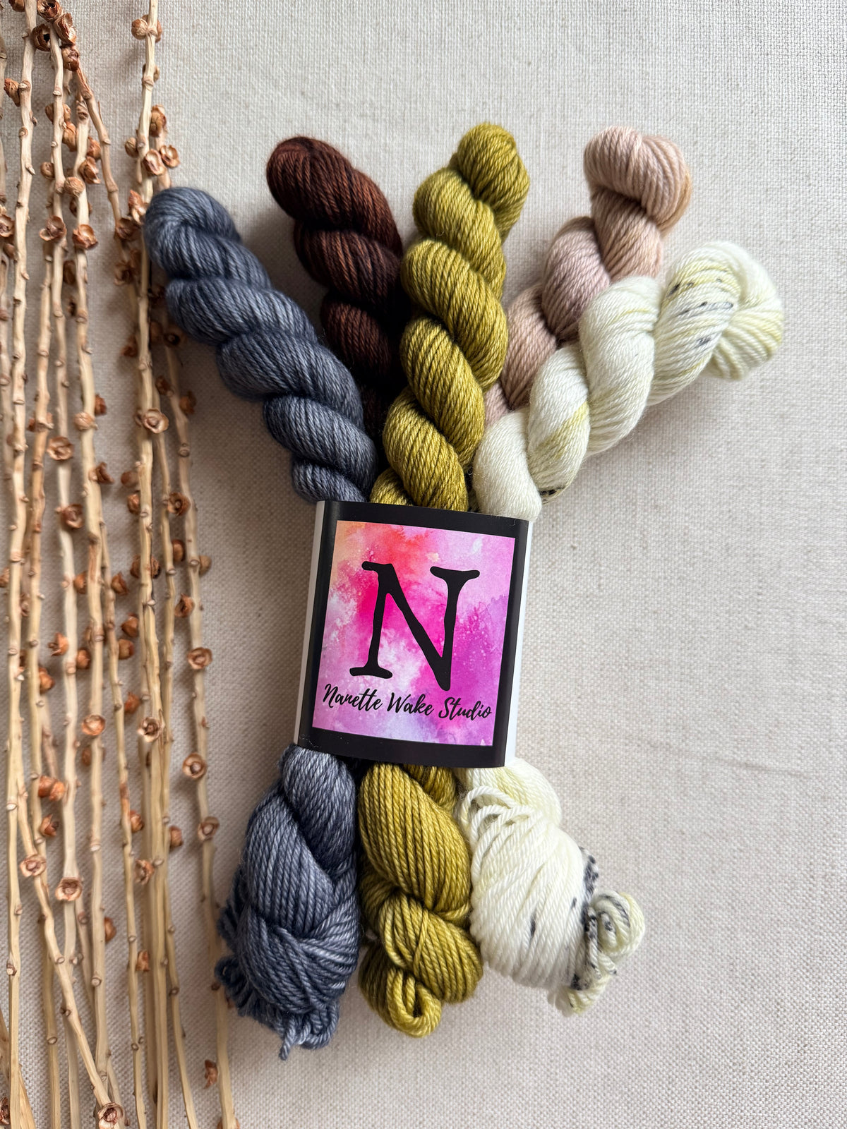 Neutrals - SW Merino Nylon Mini Skein Set