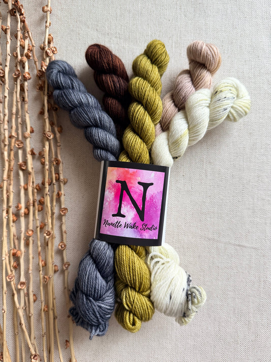 Neutrals - SW Merino Nylon Mini Skein Set