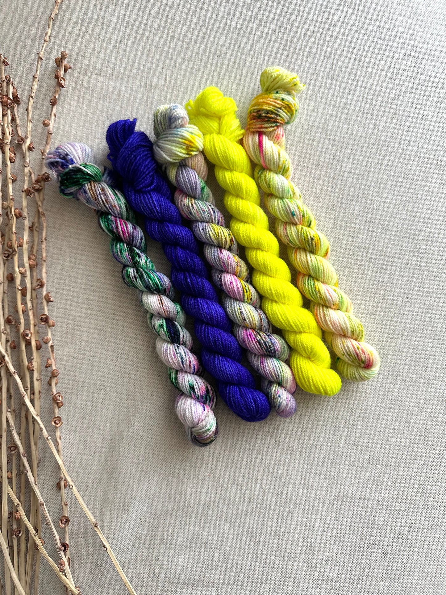 Blarney - SW Merino Nylon Mini Skein Set