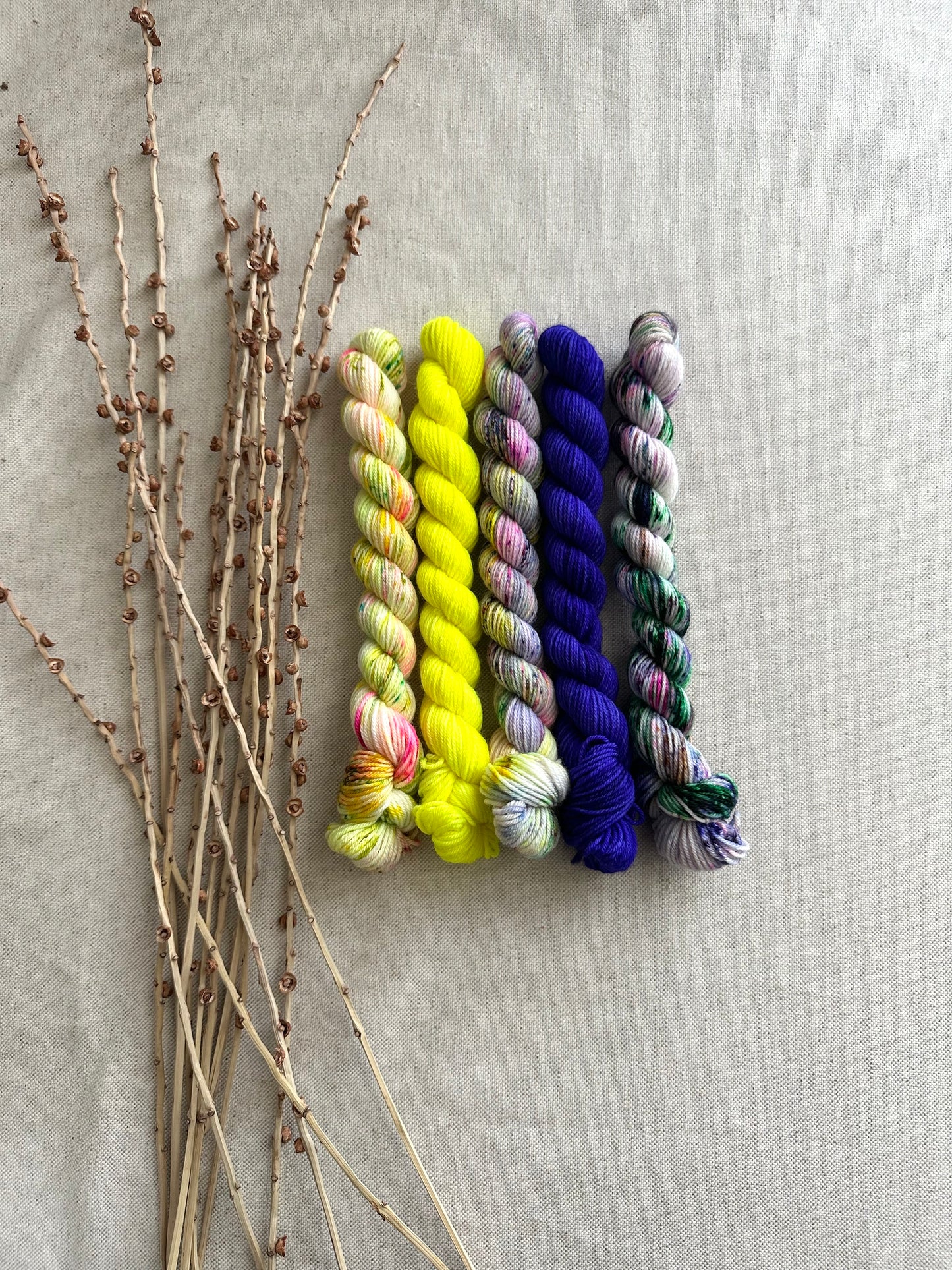 Blarney - SW Merino Nylon Mini Skein Set