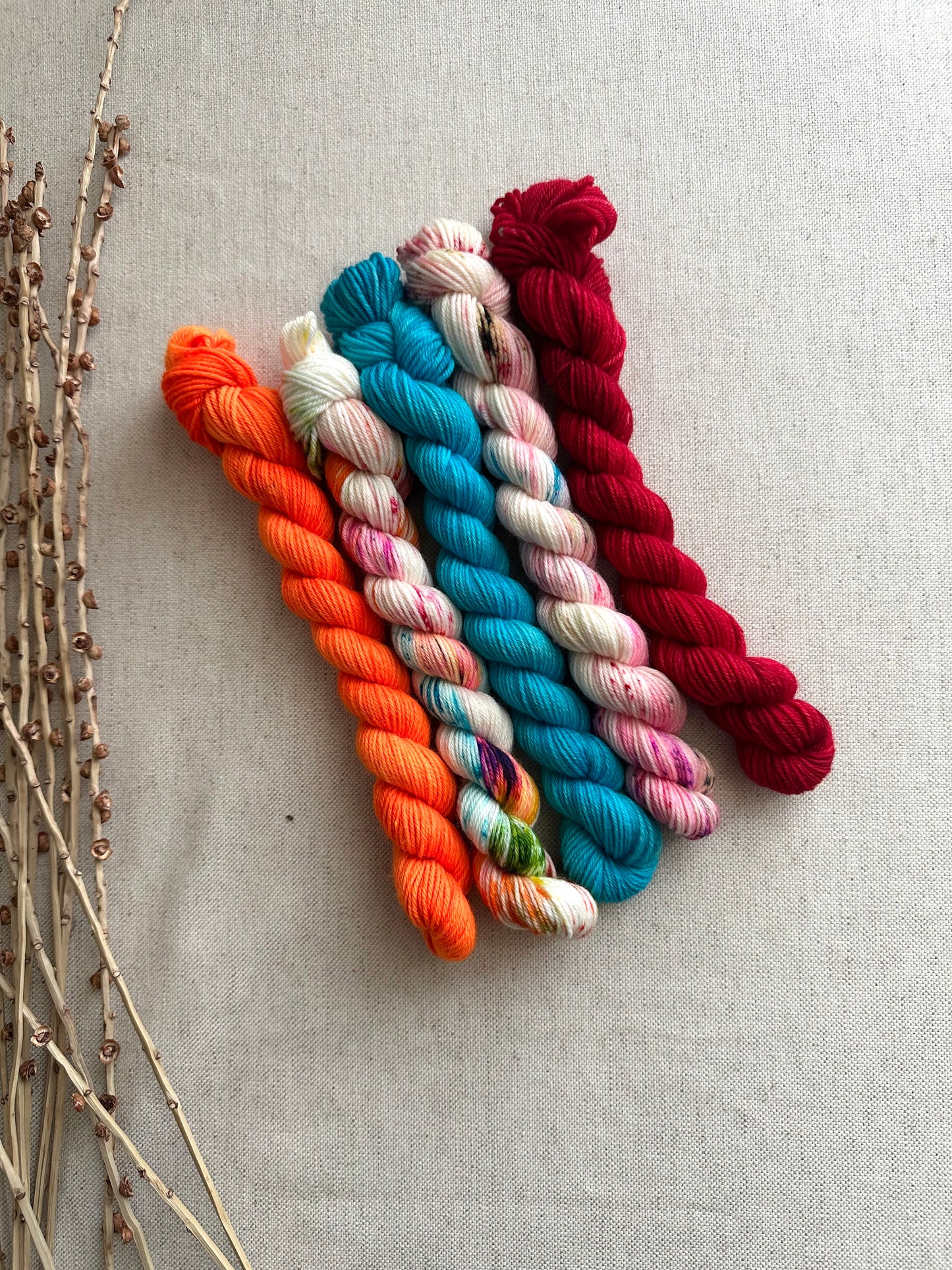 Baja - SW Merino Nylon Mini Skein Set