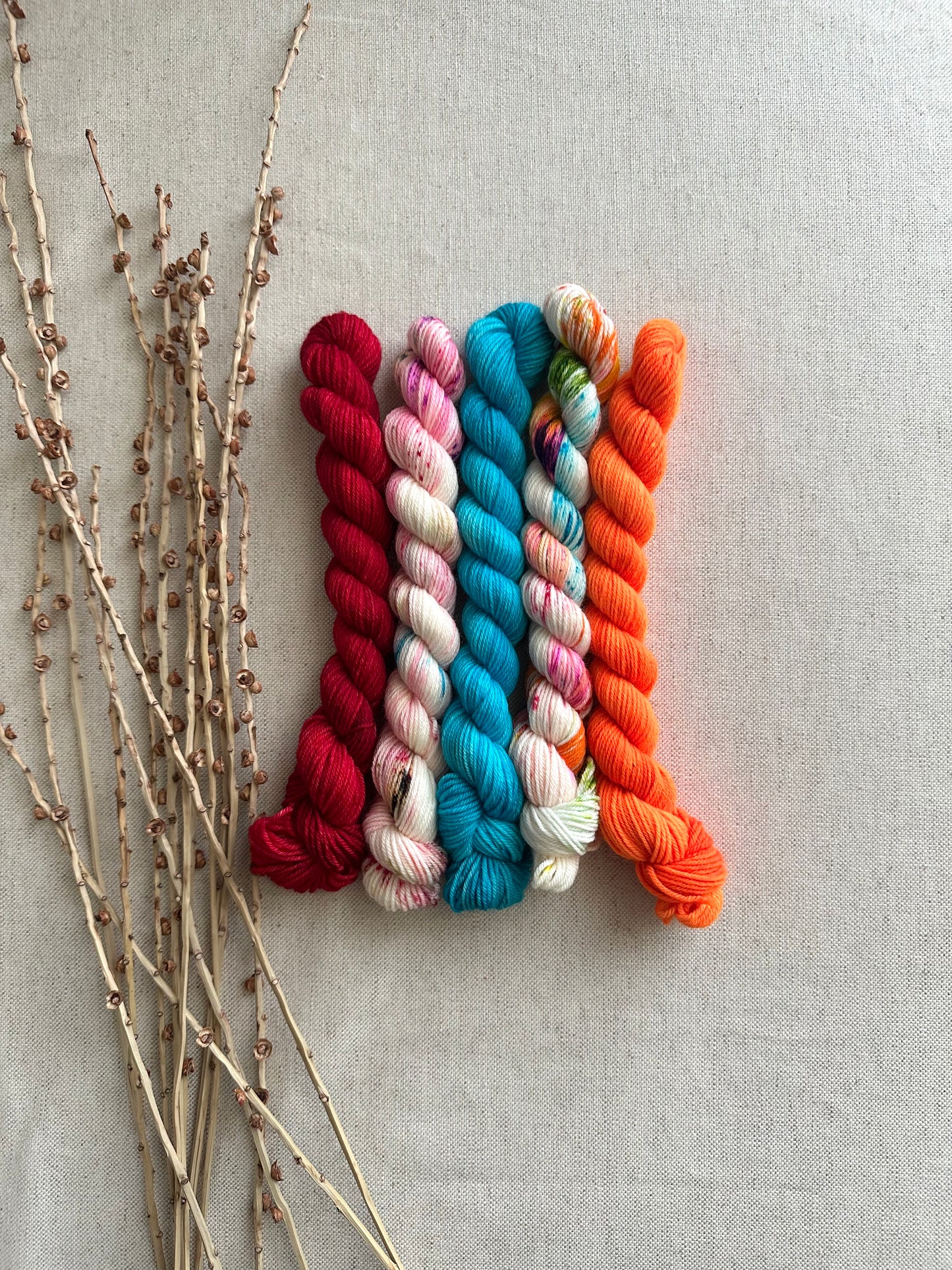 Baja - SW Merino Nylon Mini Skein Set