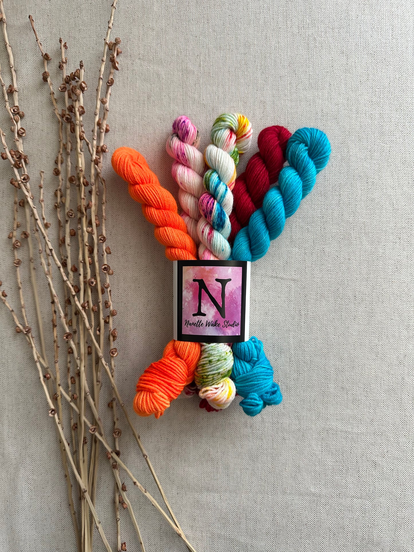 Baja - SW Merino Nylon Mini Skein Set