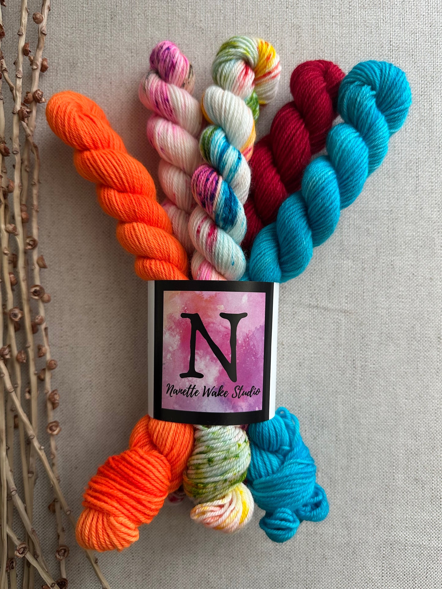 Baja - SW Merino Nylon Mini Skein Set