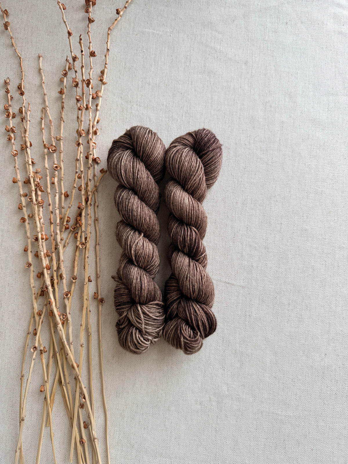 Pecan SW Merino Nylon 50g Skein
