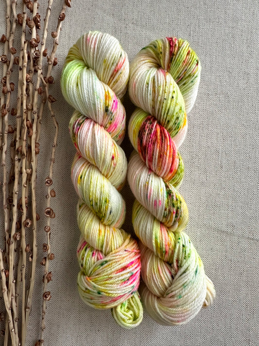 Fizzbin SW Merino Nylon 50g Skein