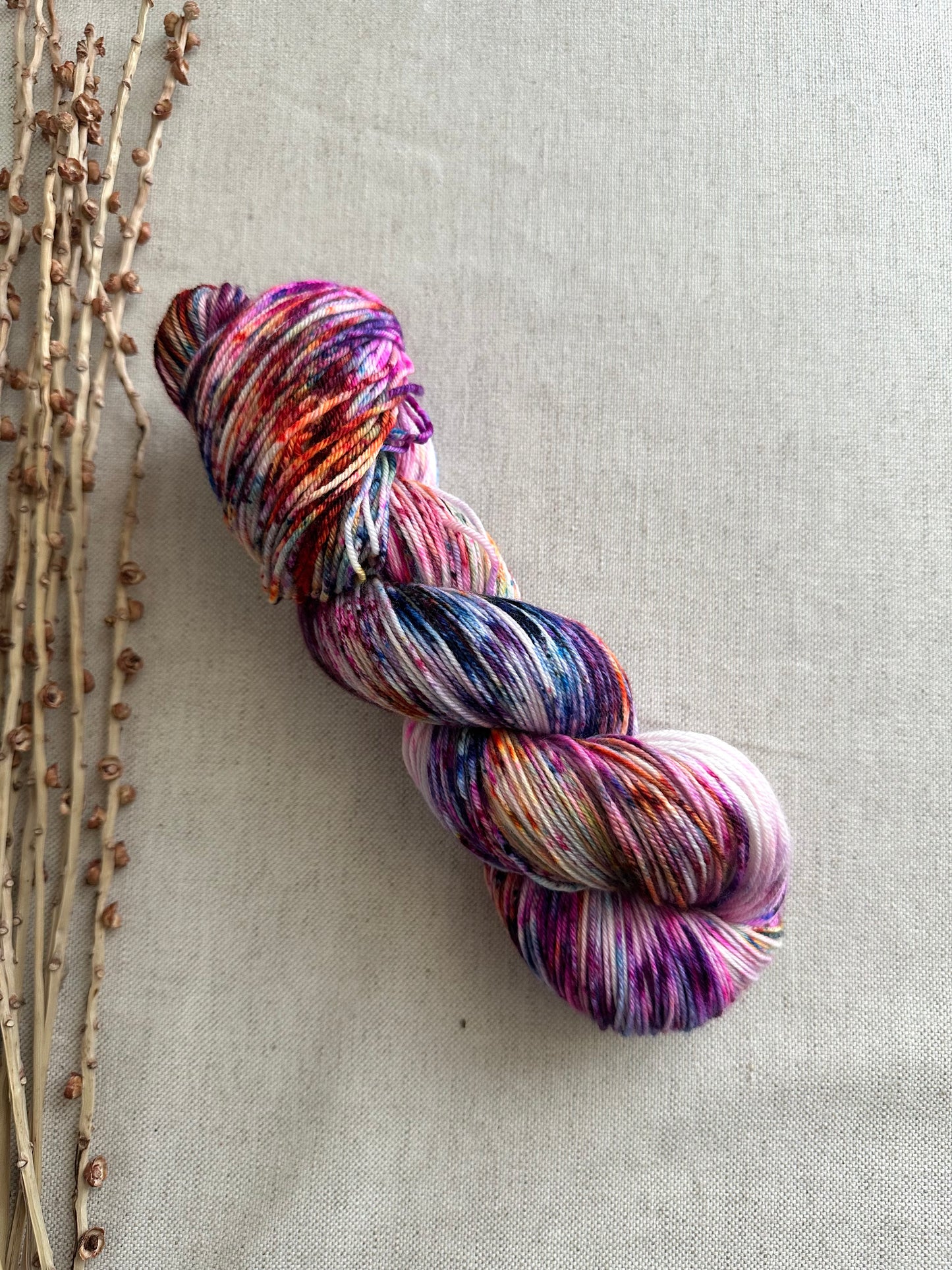 Threw In The Kitchen Sink SW Merino Nylon Yarn