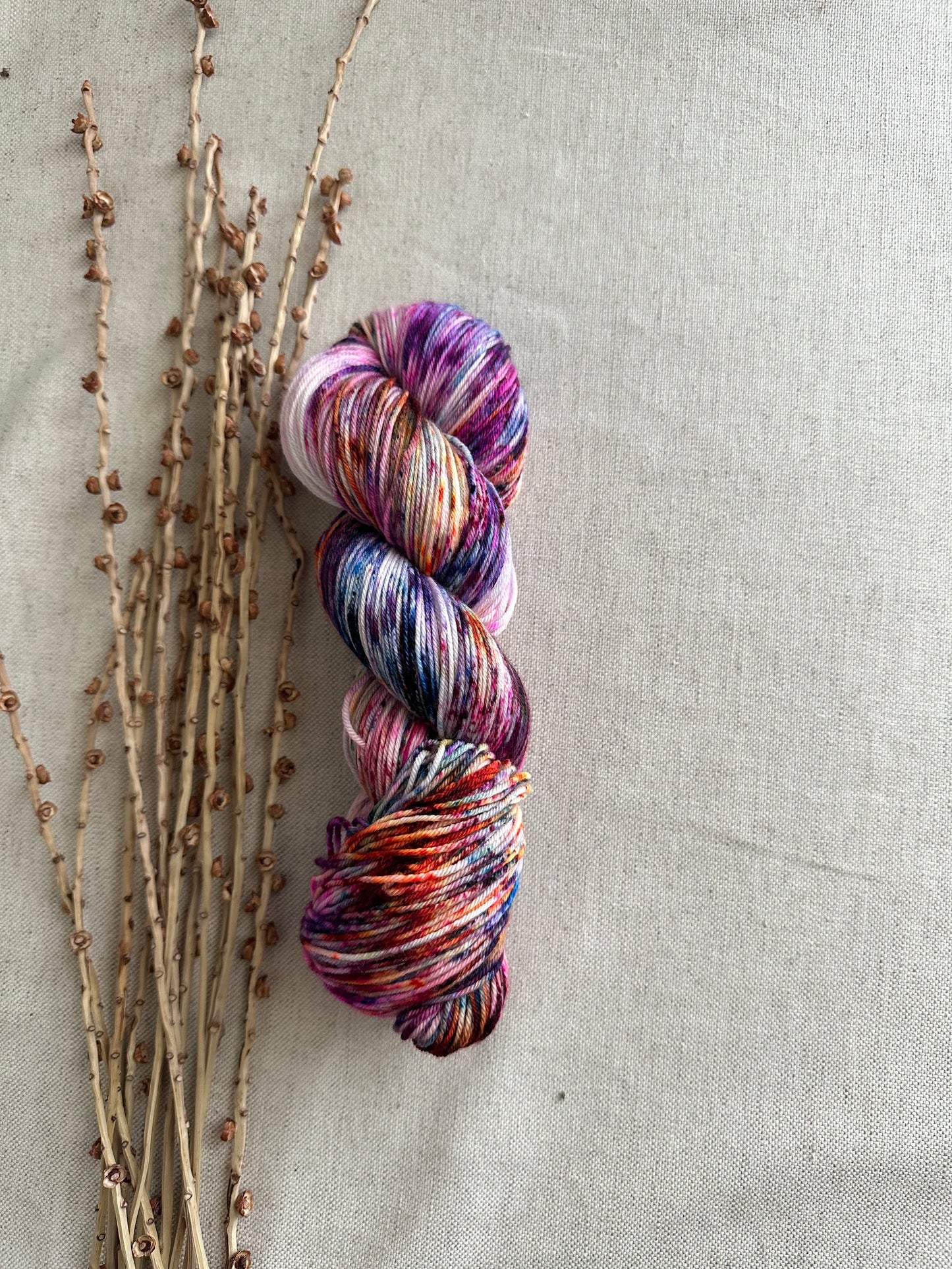 Threw In The Kitchen Sink SW Merino Nylon Yarn