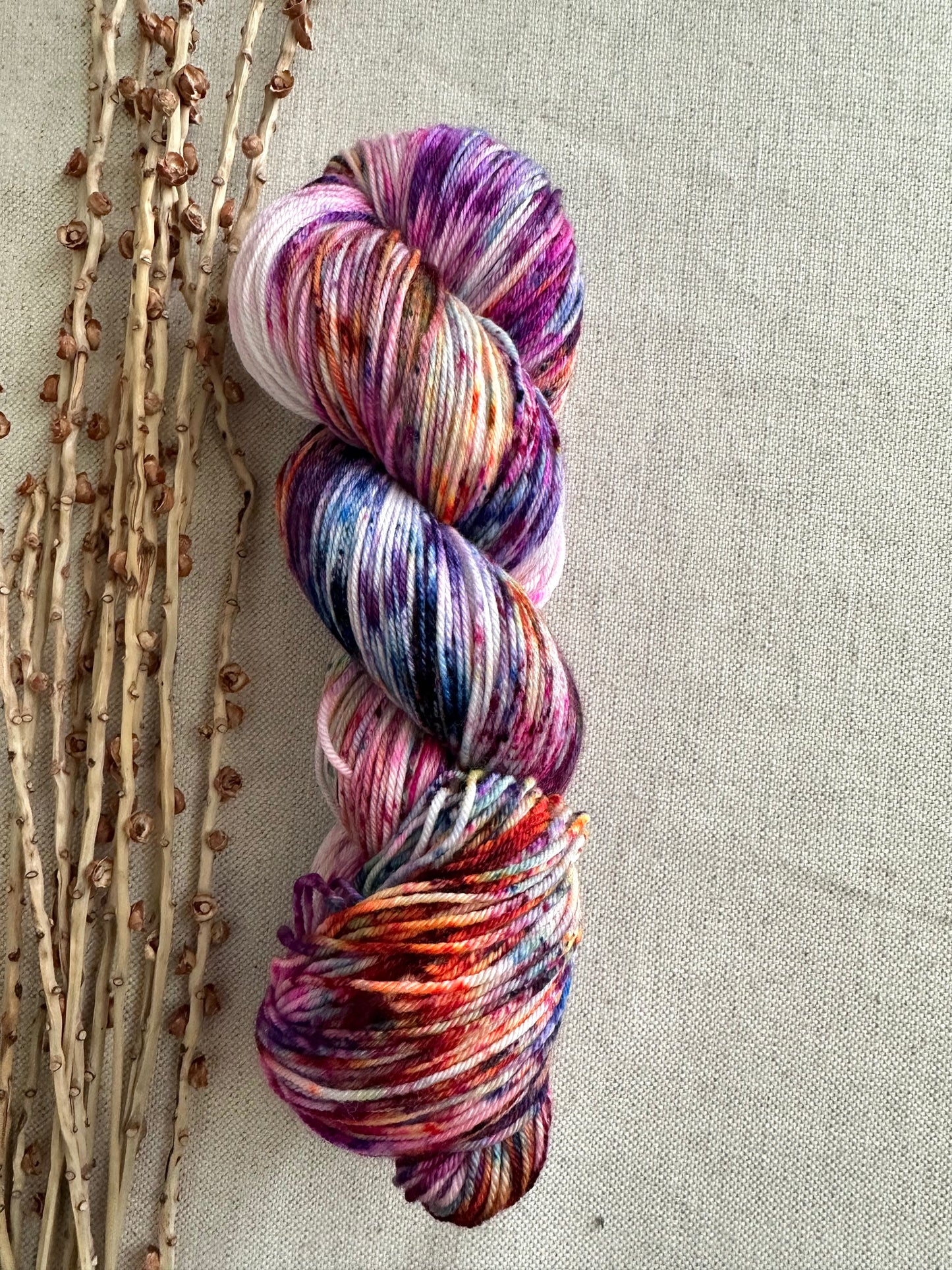 Threw In The Kitchen Sink SW Merino Nylon Yarn