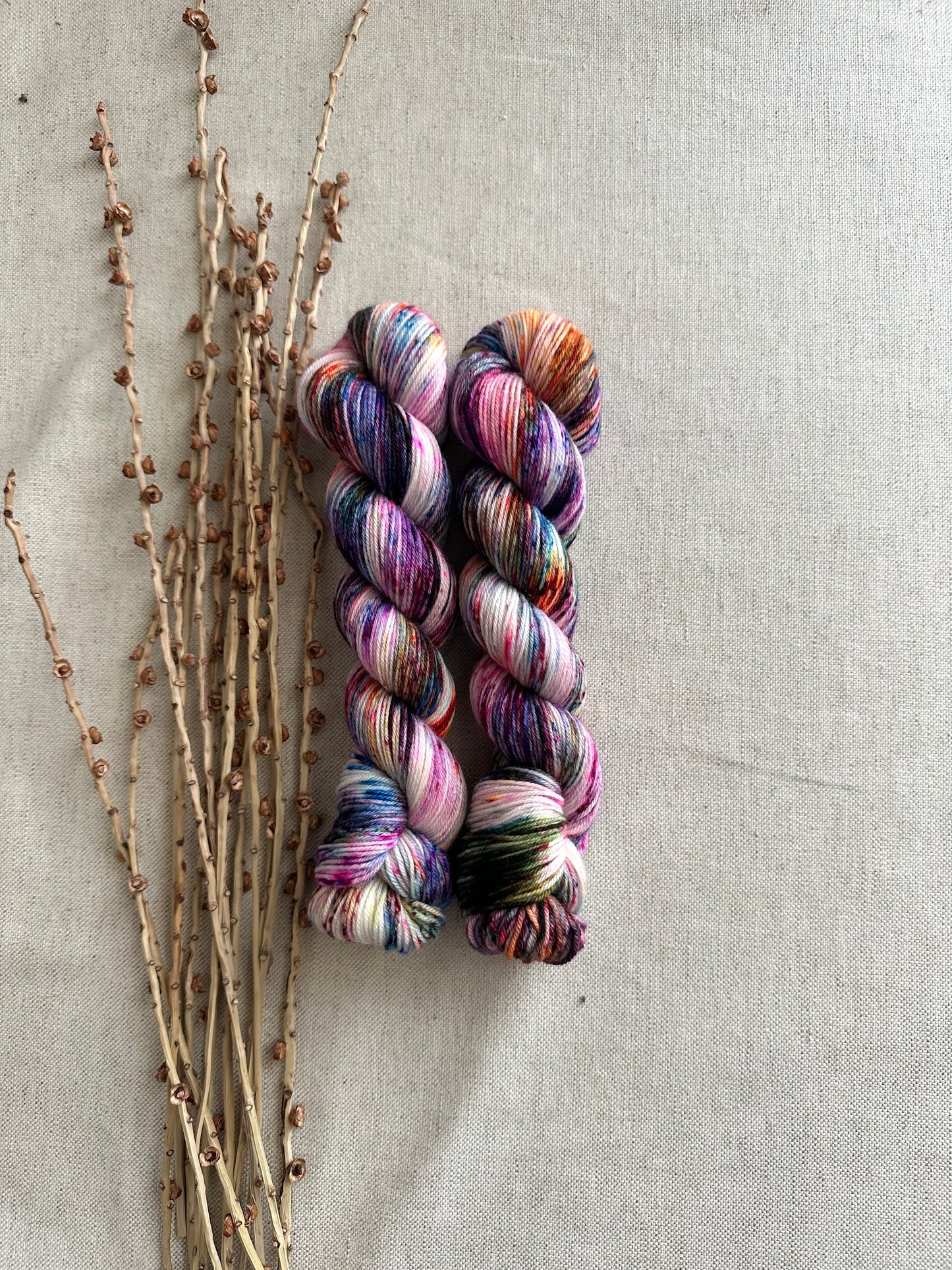 Threw In The Kitchen Sink SW Merino Nylon 50g Skein