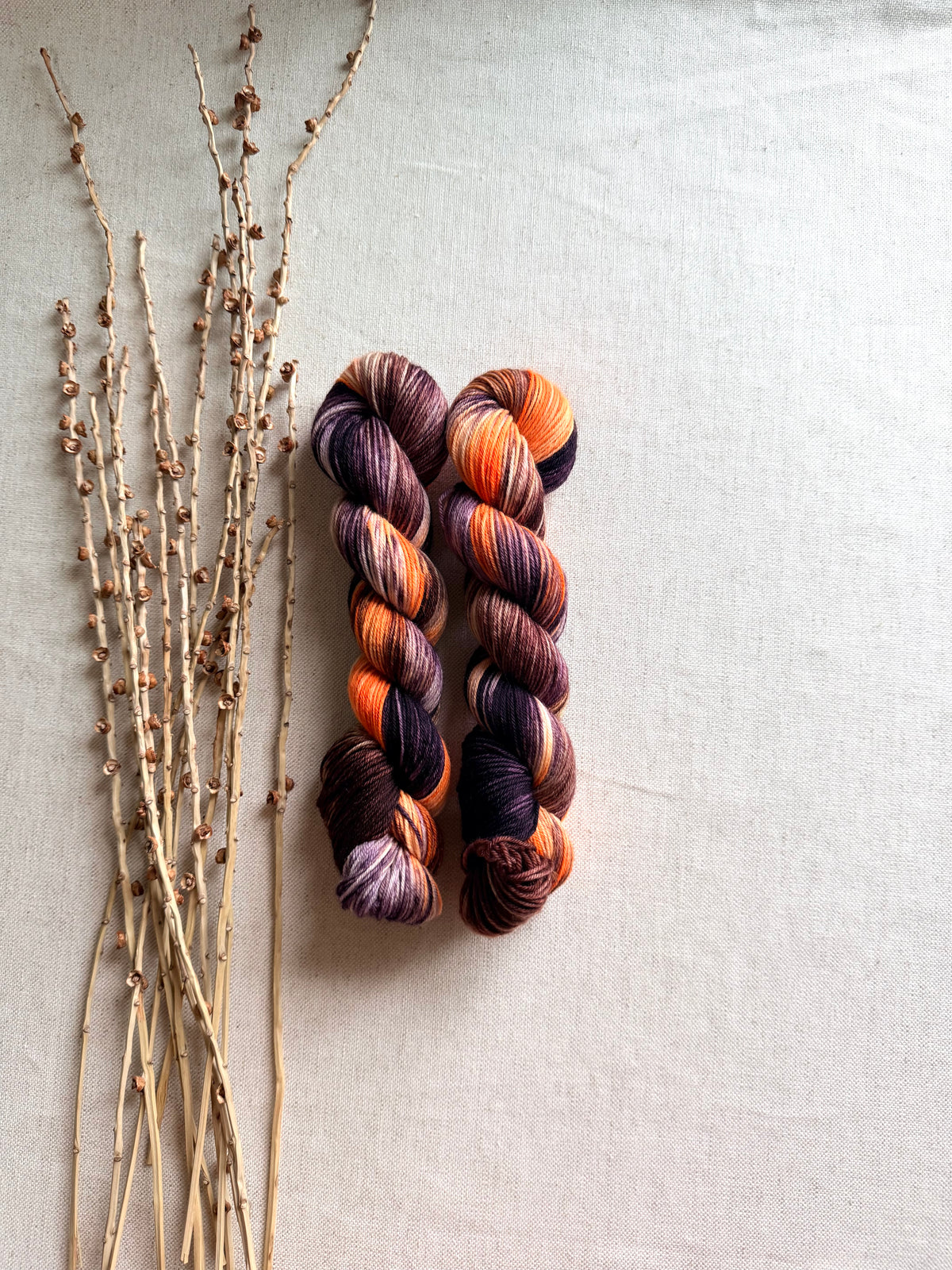 Black Cats Prowling & Pumpkins Glowing SW Merino Nylon 50g
