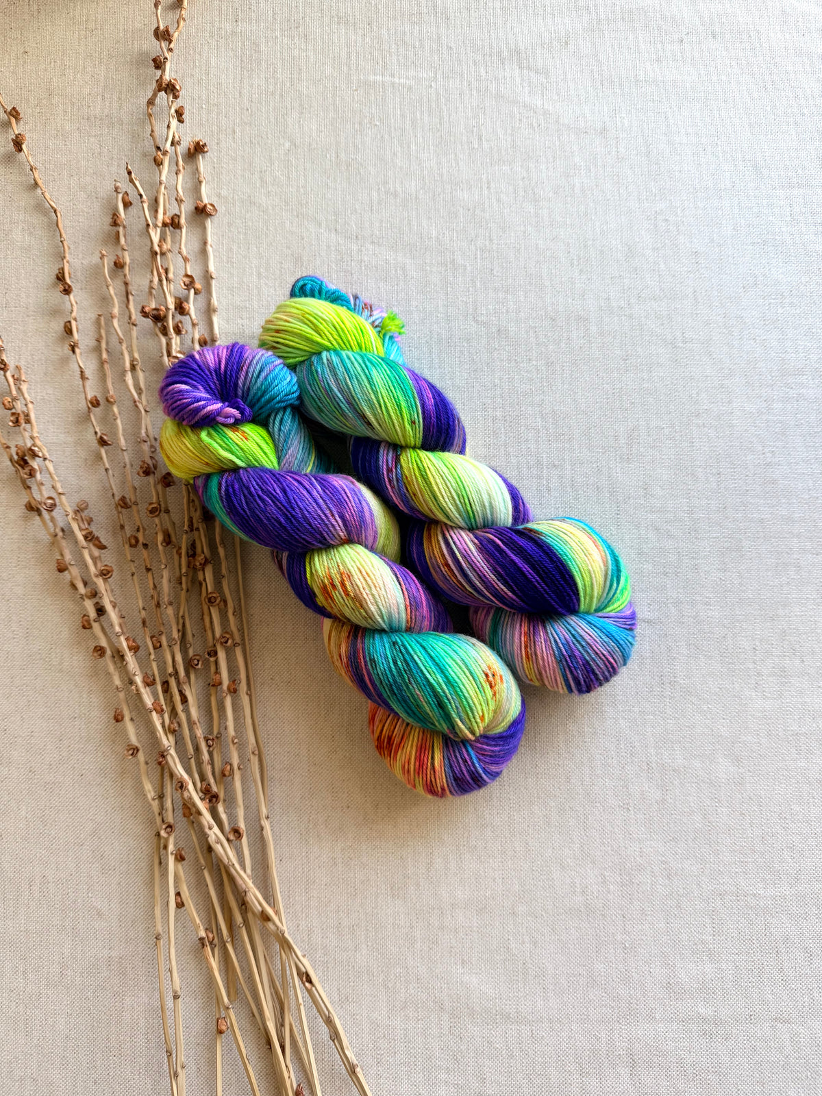Monster Mash SW Merino Nylon 100g