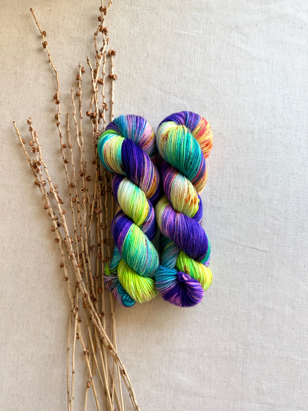 Monster Mash SW Merino Nylon 100g