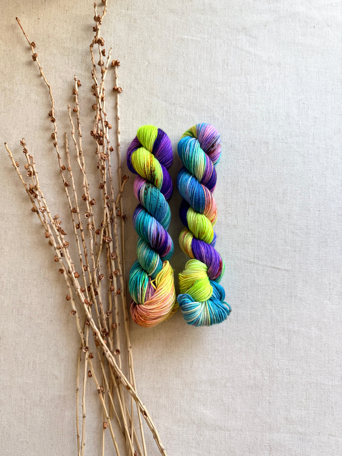Monster Mash SW Merino Nylon 50g Skein