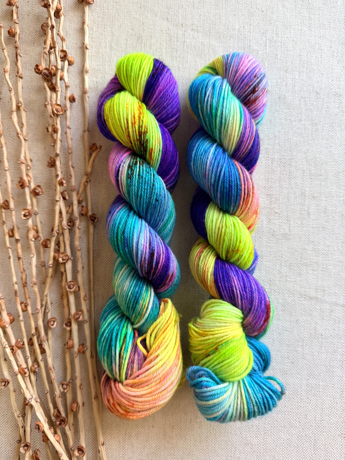Monster Mash SW Merino Nylon 50g Skein