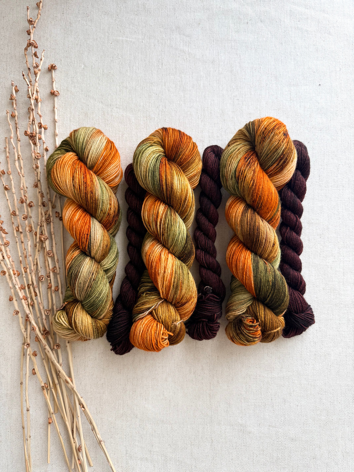 Leafing Into Fall Sock Set