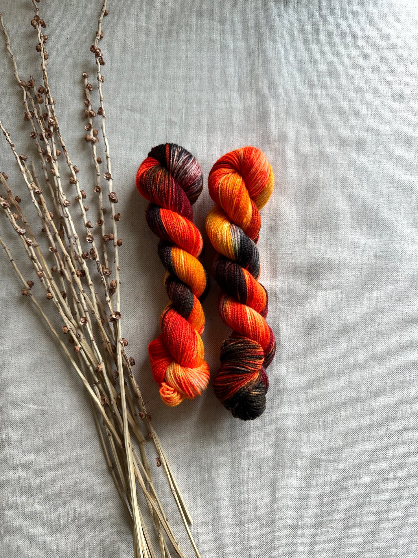 Snap, Crackle SW Merino Nylon 50g Skein