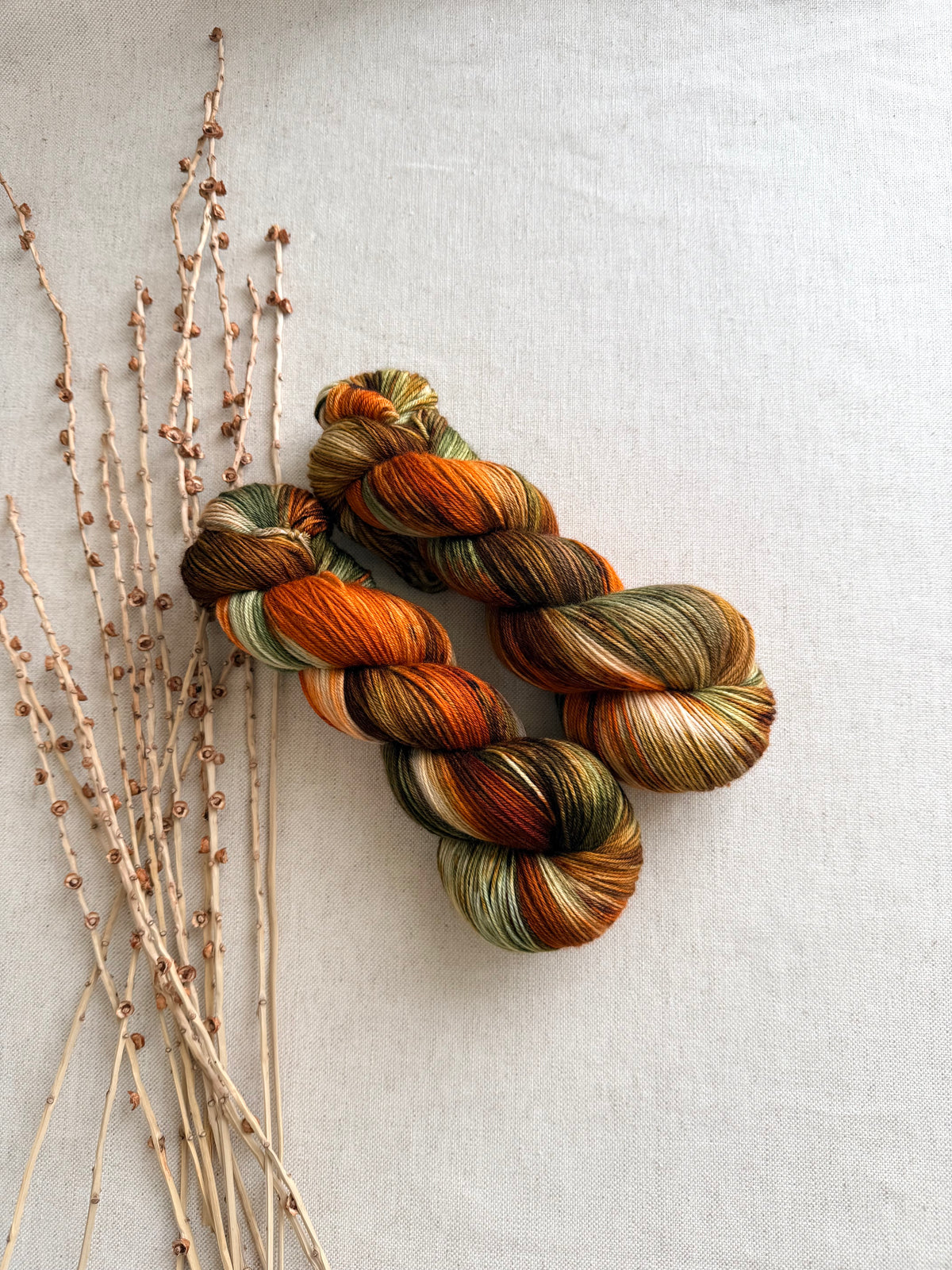 Leafing Into Fall SW Merino Nylon 100g