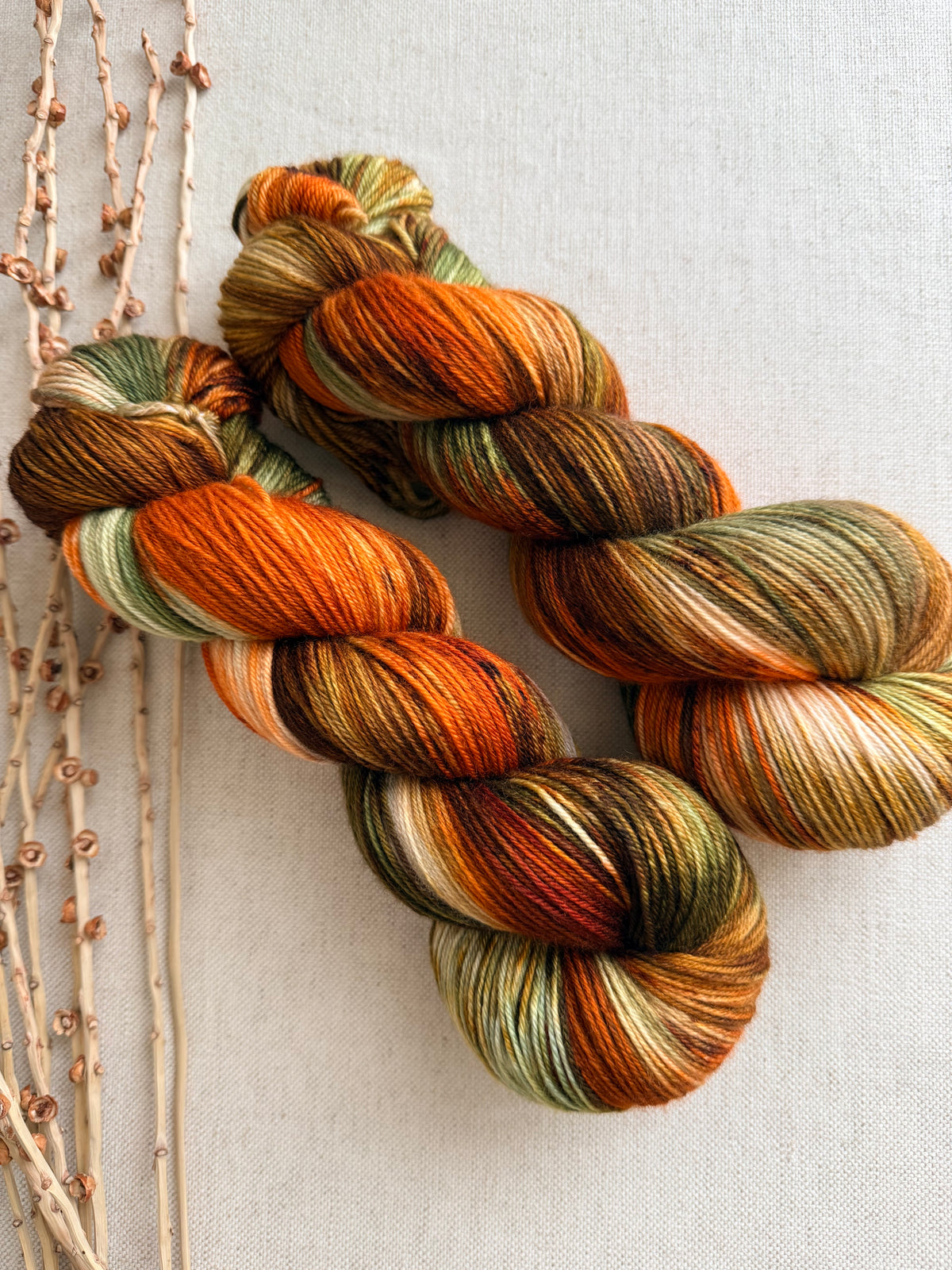 Leafing Into Fall SW Merino Nylon 100g