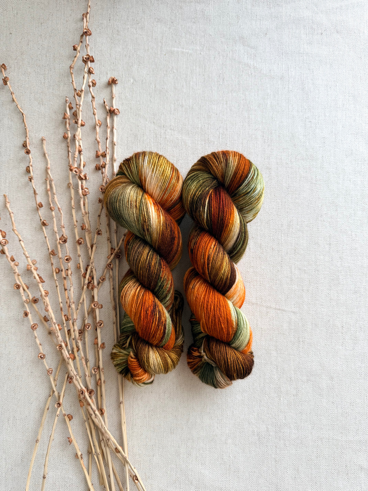 Leafing Into Fall SW Merino Nylon 100g