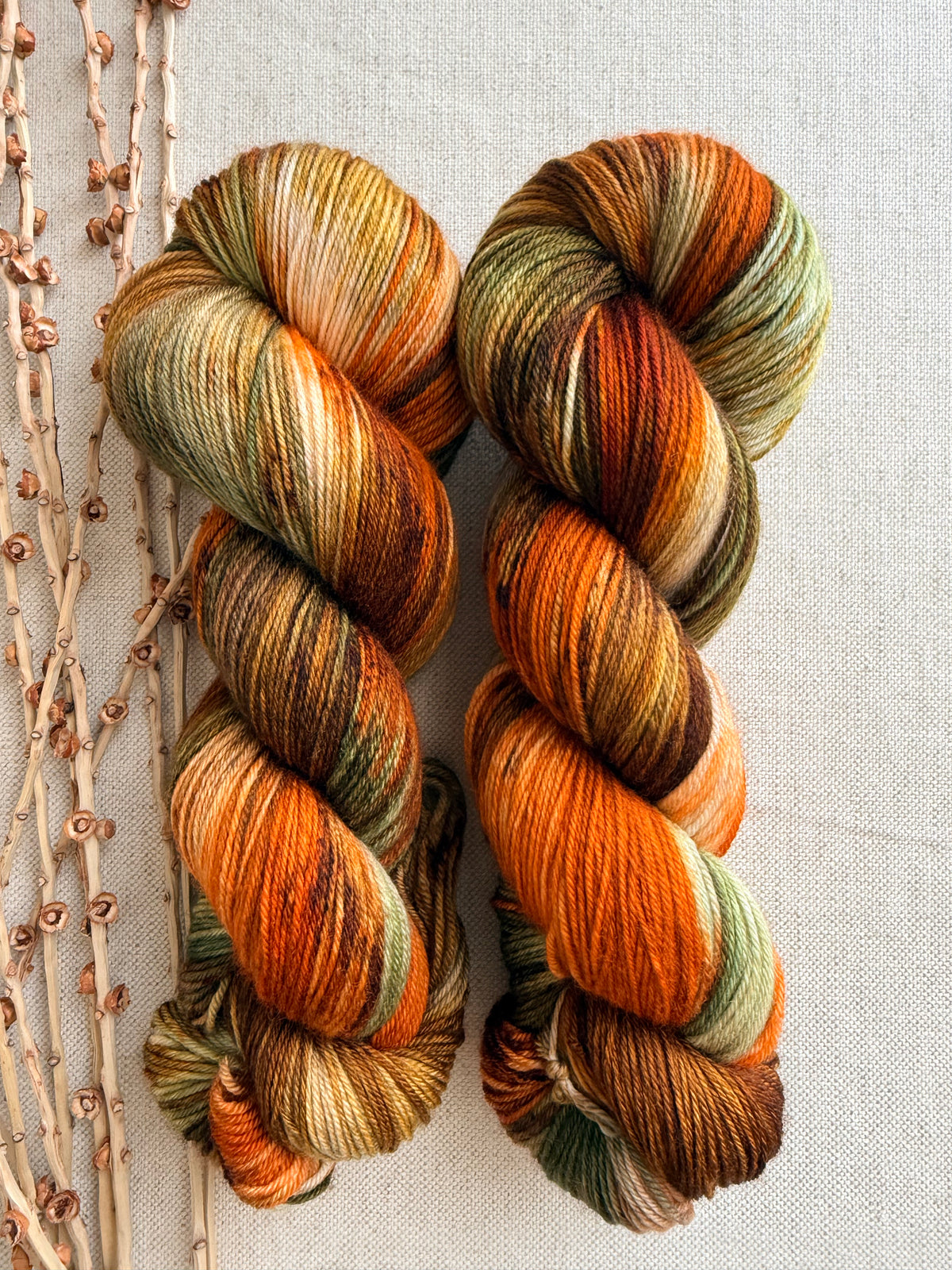 Leafing Into Fall SW Merino Nylon 100g