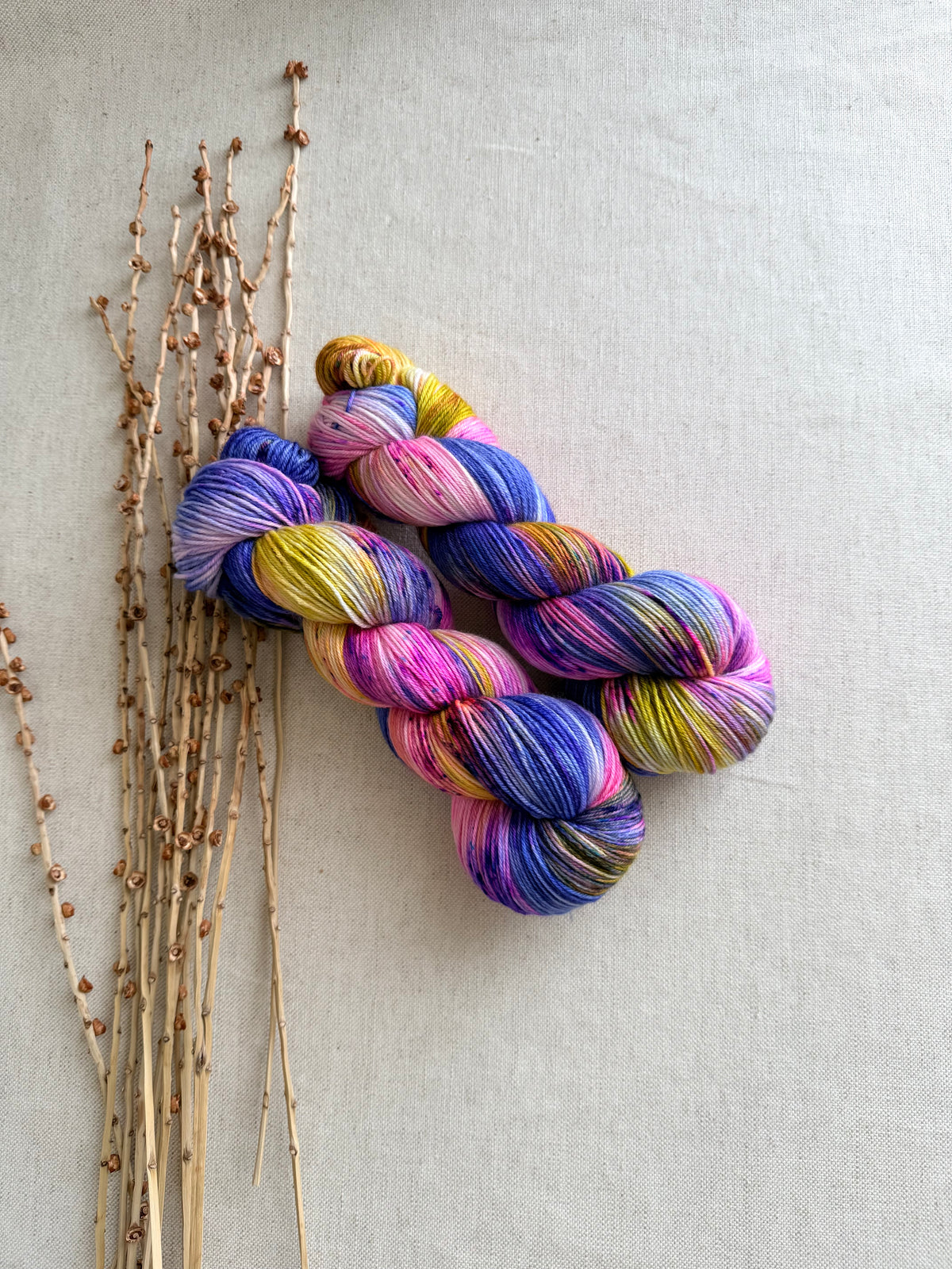 Jewelry Box SW Merino Nylon 100g