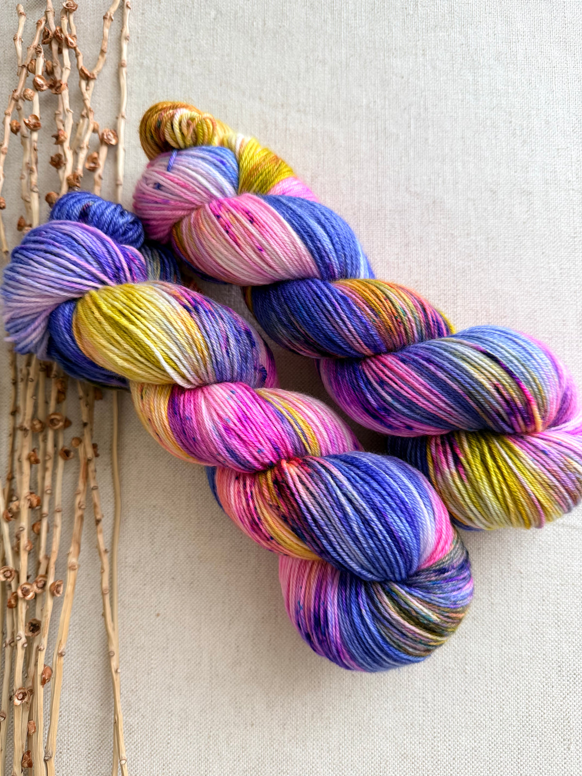 Jewelry Box SW Merino Nylon 100g