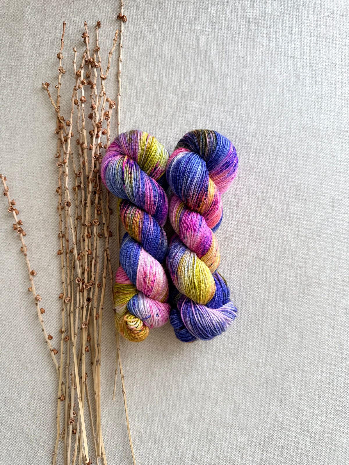 Jewelry Box SW Merino Nylon 100g