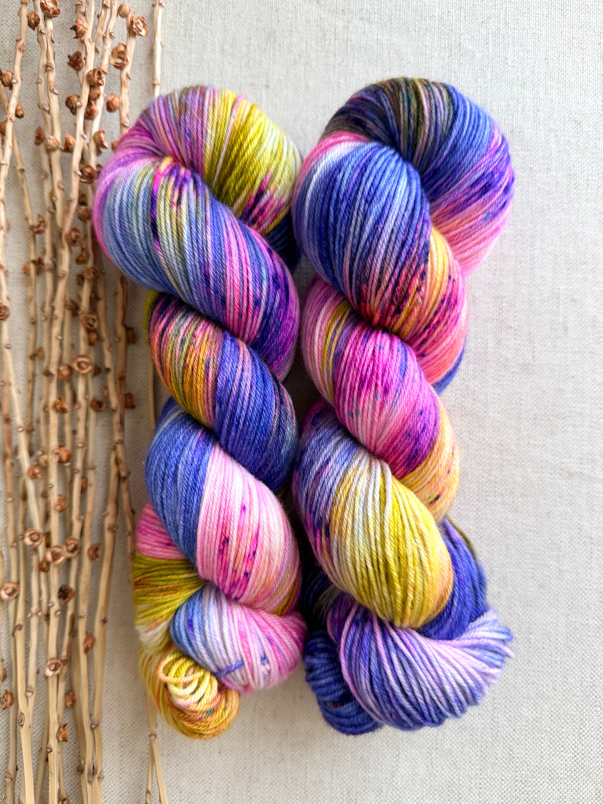 Jewelry Box SW Merino Nylon 100g