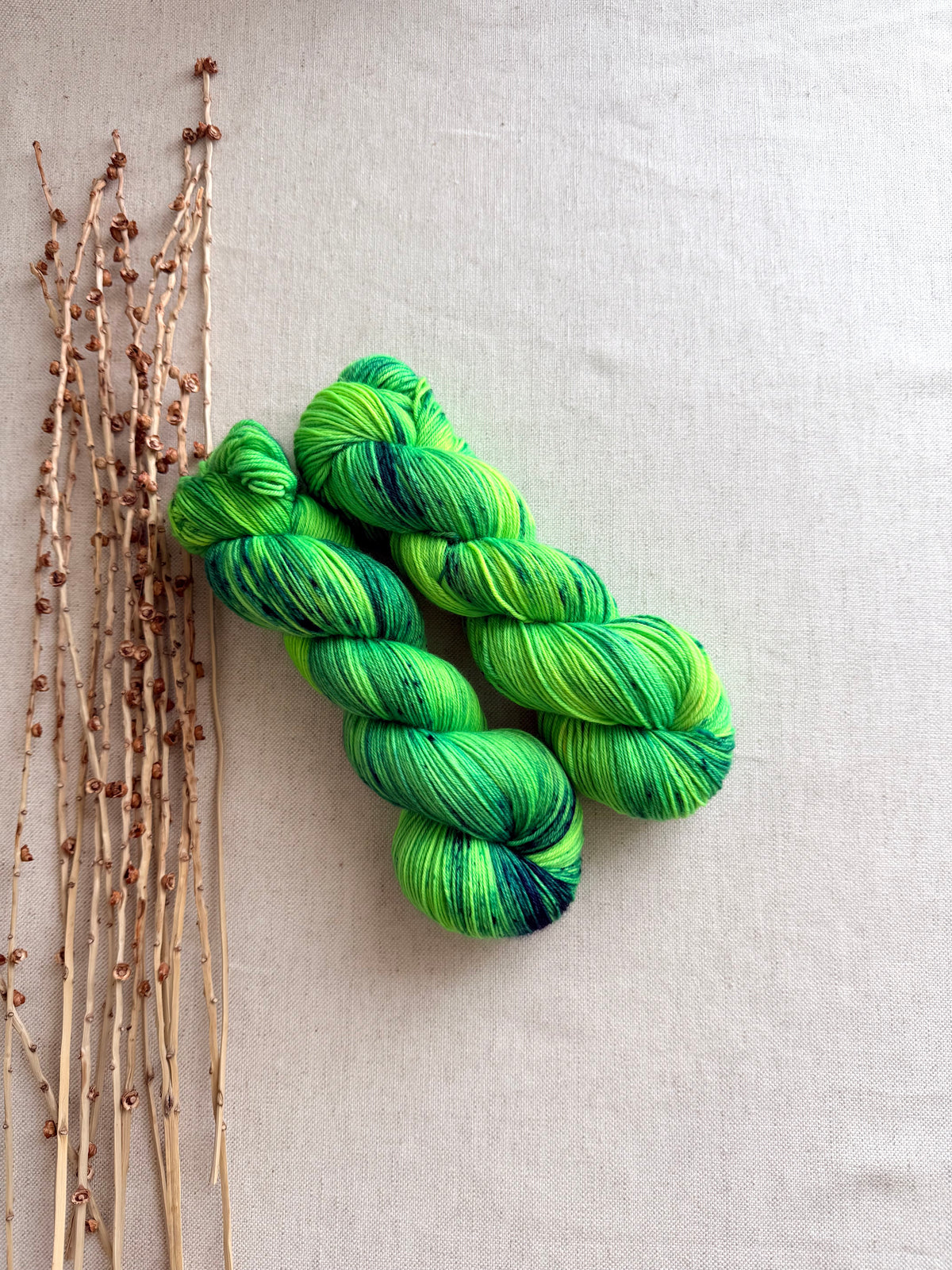 Along Came Allie Gator SW Merino Nylon 100g