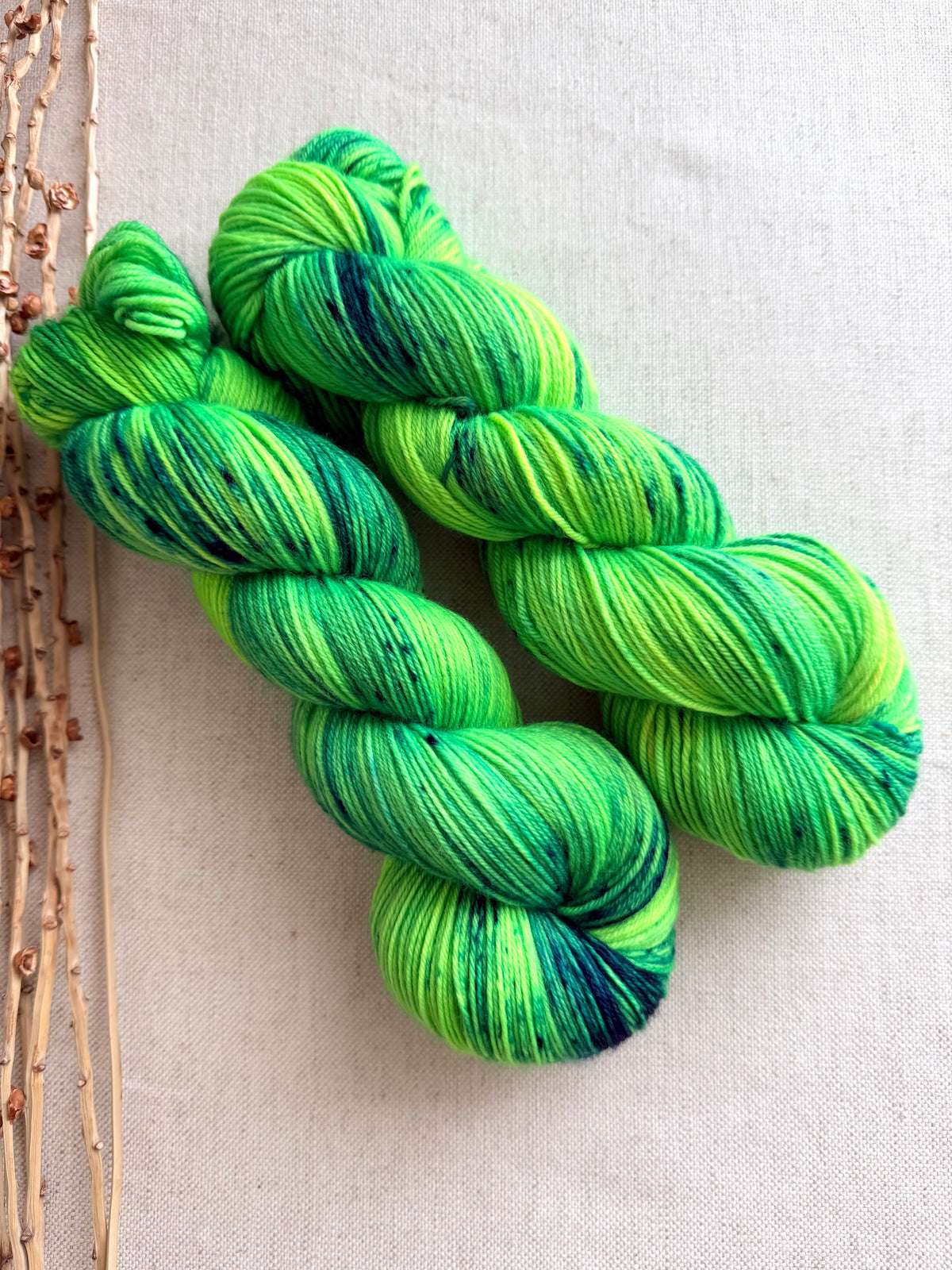 Along Came Allie Gator SW Merino Nylon 100g