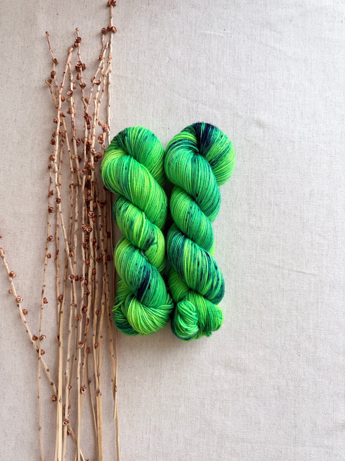 Along Came Allie Gator SW Merino Nylon 100g