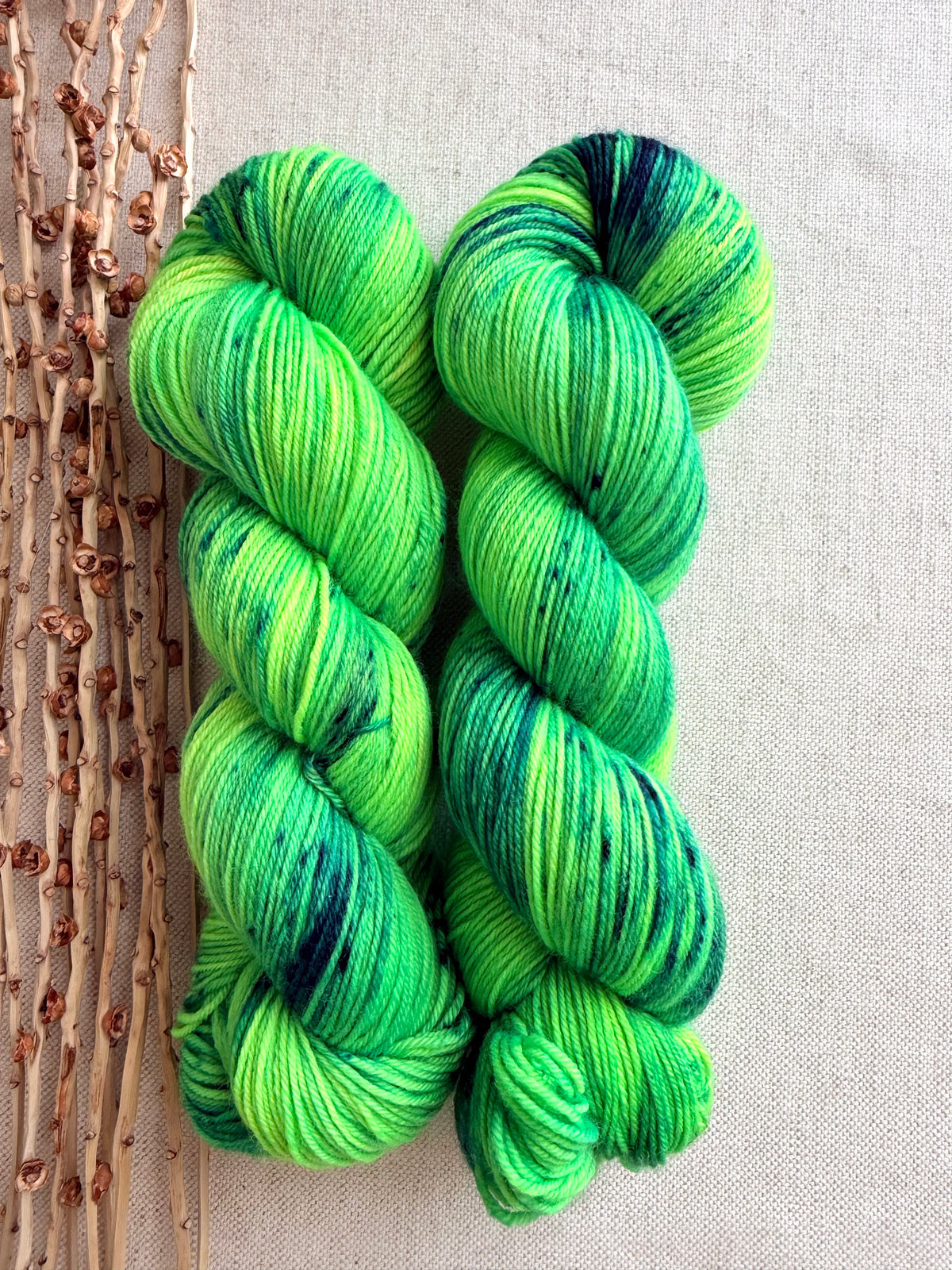 Along Came Allie Gator SW Merino Nylon 100g