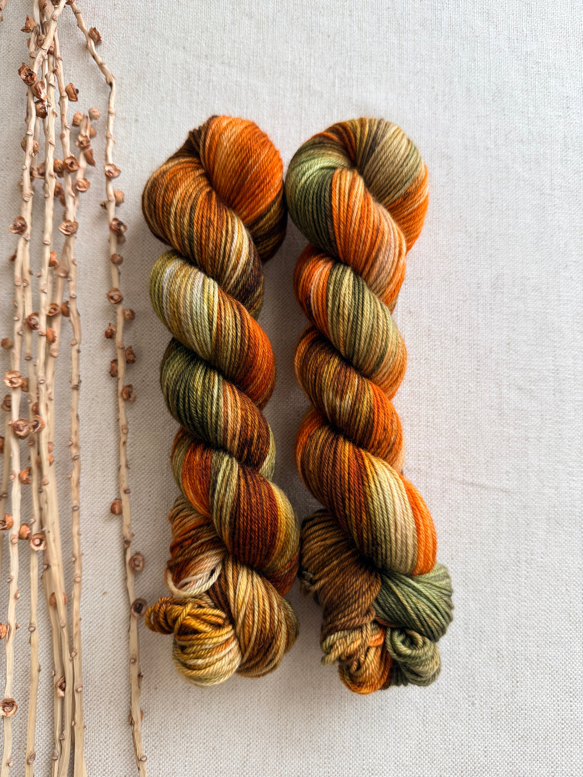 Leafing Into Fall SW Merino Nylon 50g Skein
