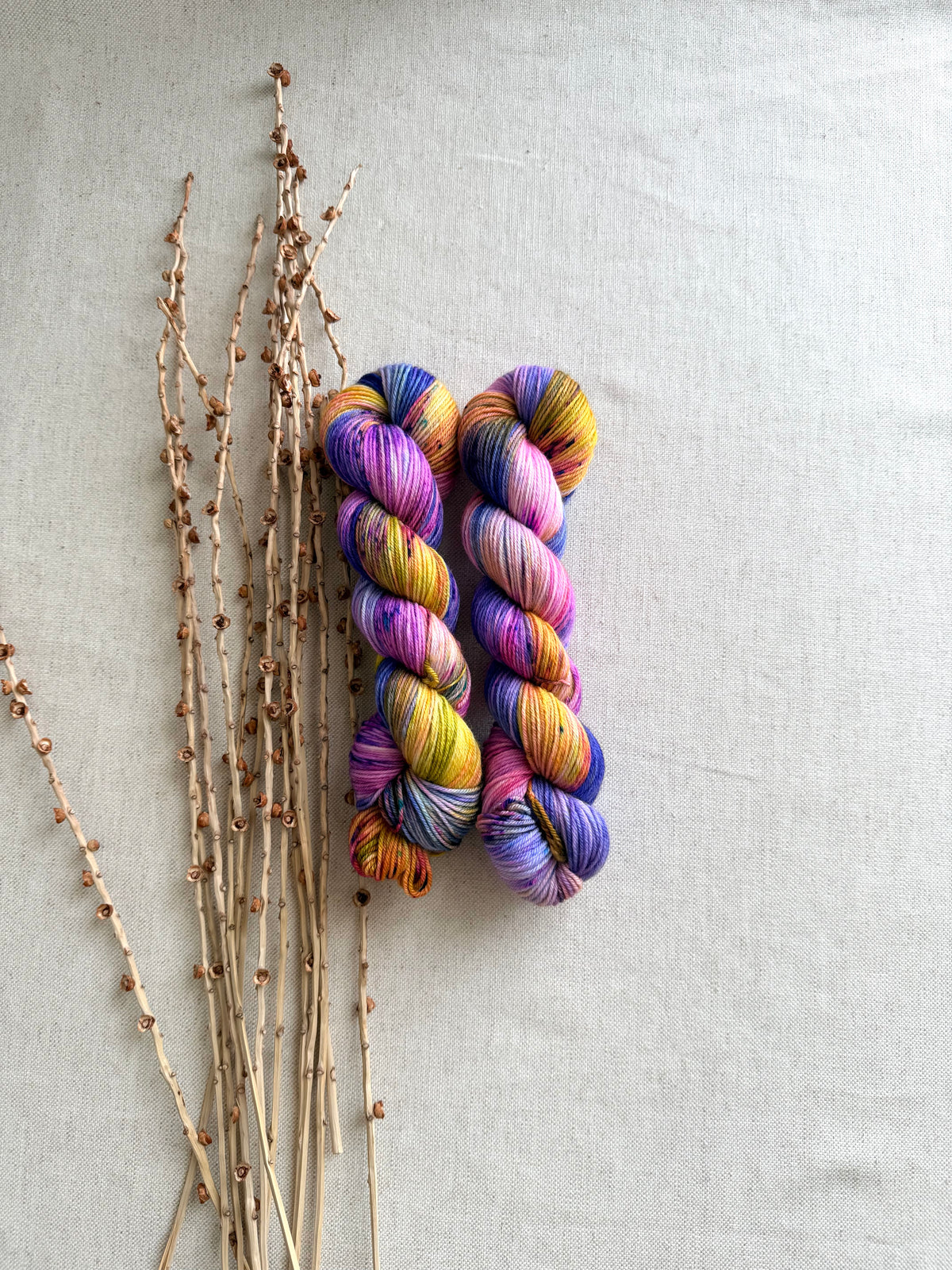 Jewelry Box SW Merino Nylon 50g Skein