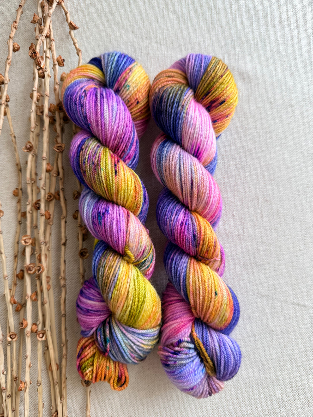 Jewelry Box SW Merino Nylon 50g Skein