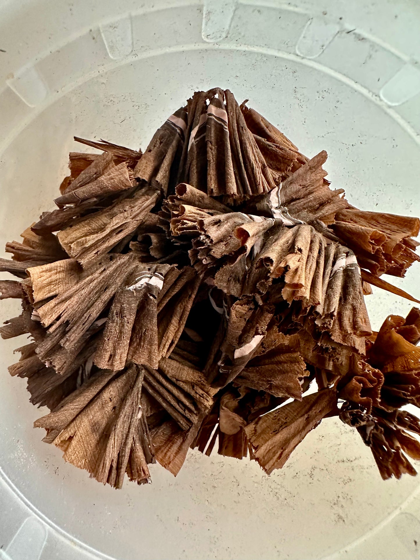 Natural Dyeing Kit
