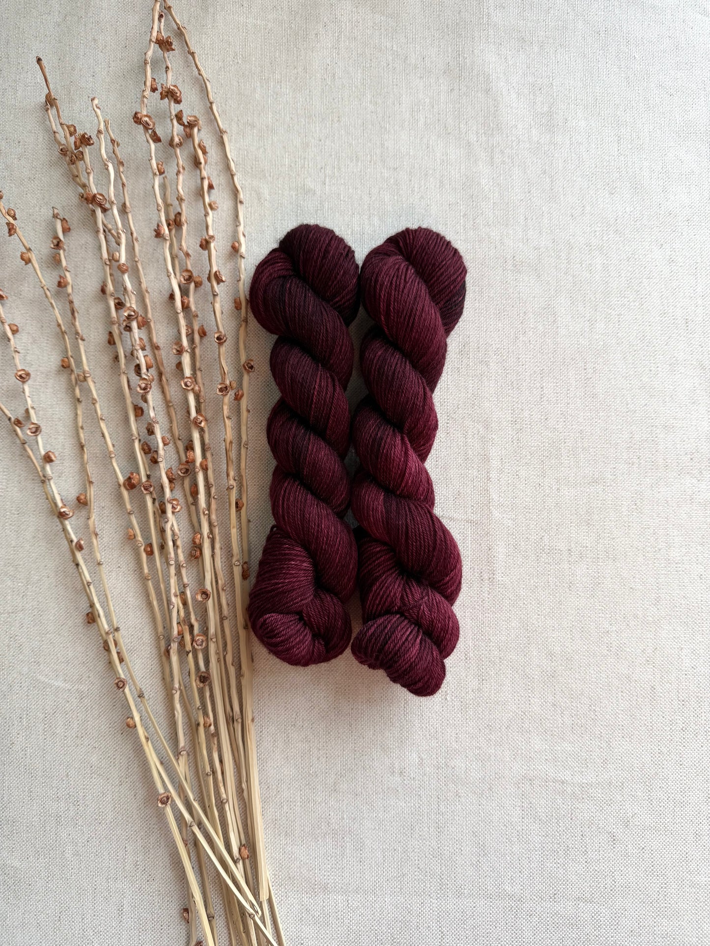 Plum Raisin SW Merino Nylon 50g Skein