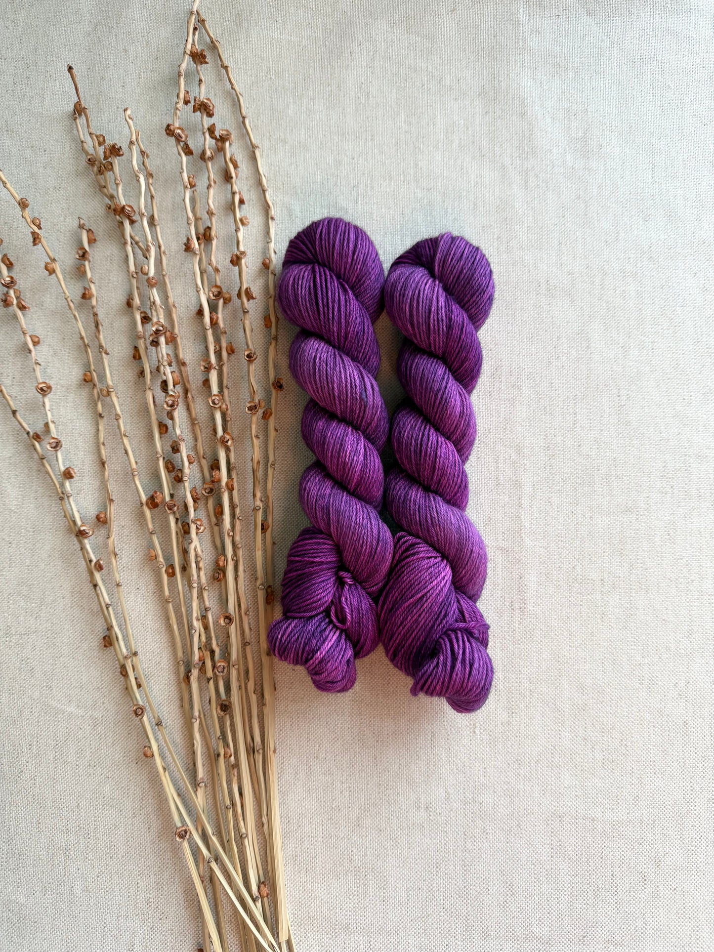 Shaded Pop! SW Merino Nylon 50g Skein