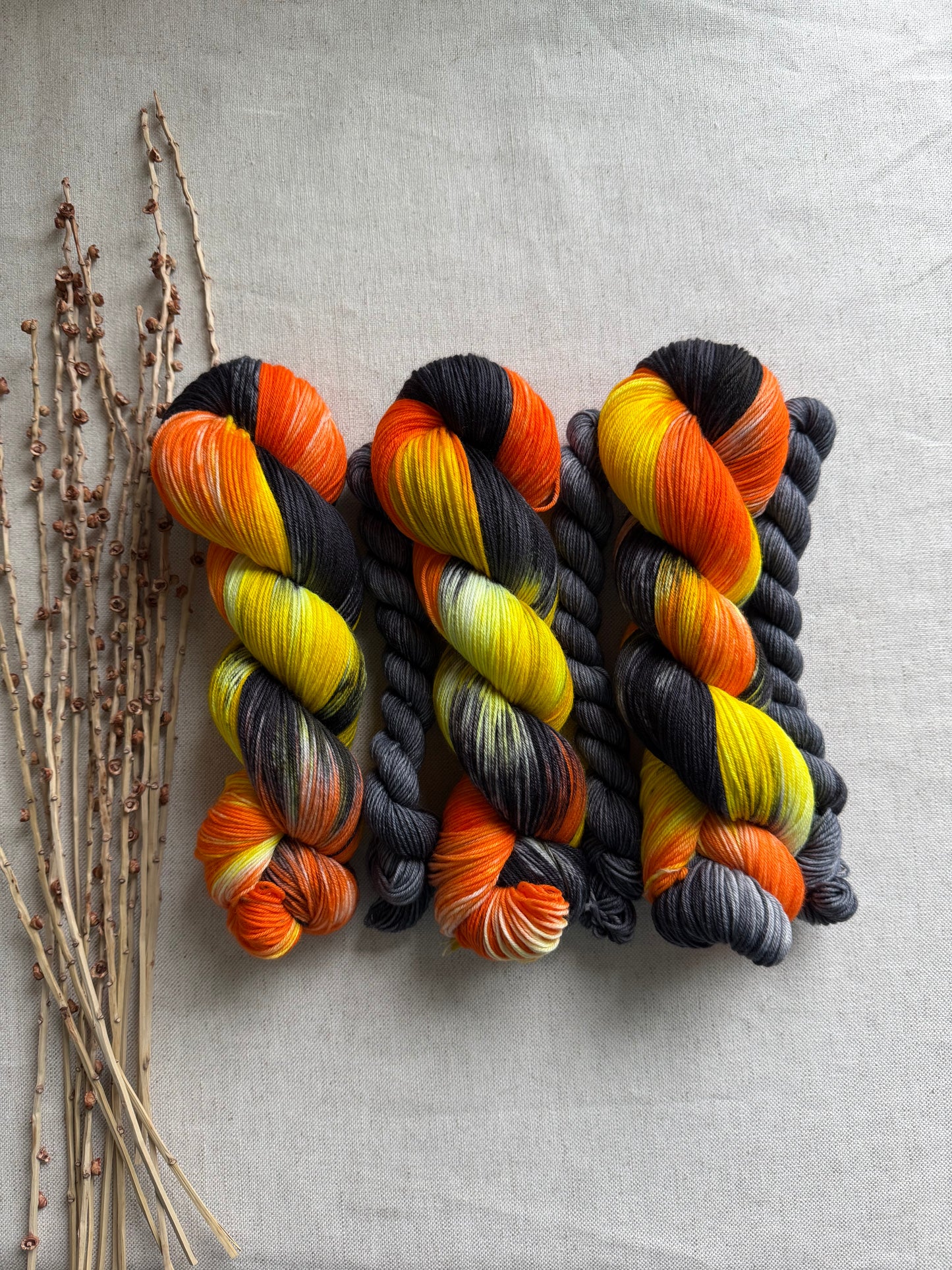 Licorice Twist Sock Set