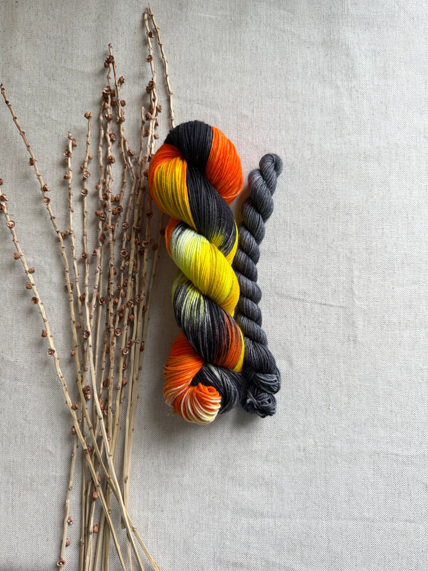 Licorice Twist Sock Set