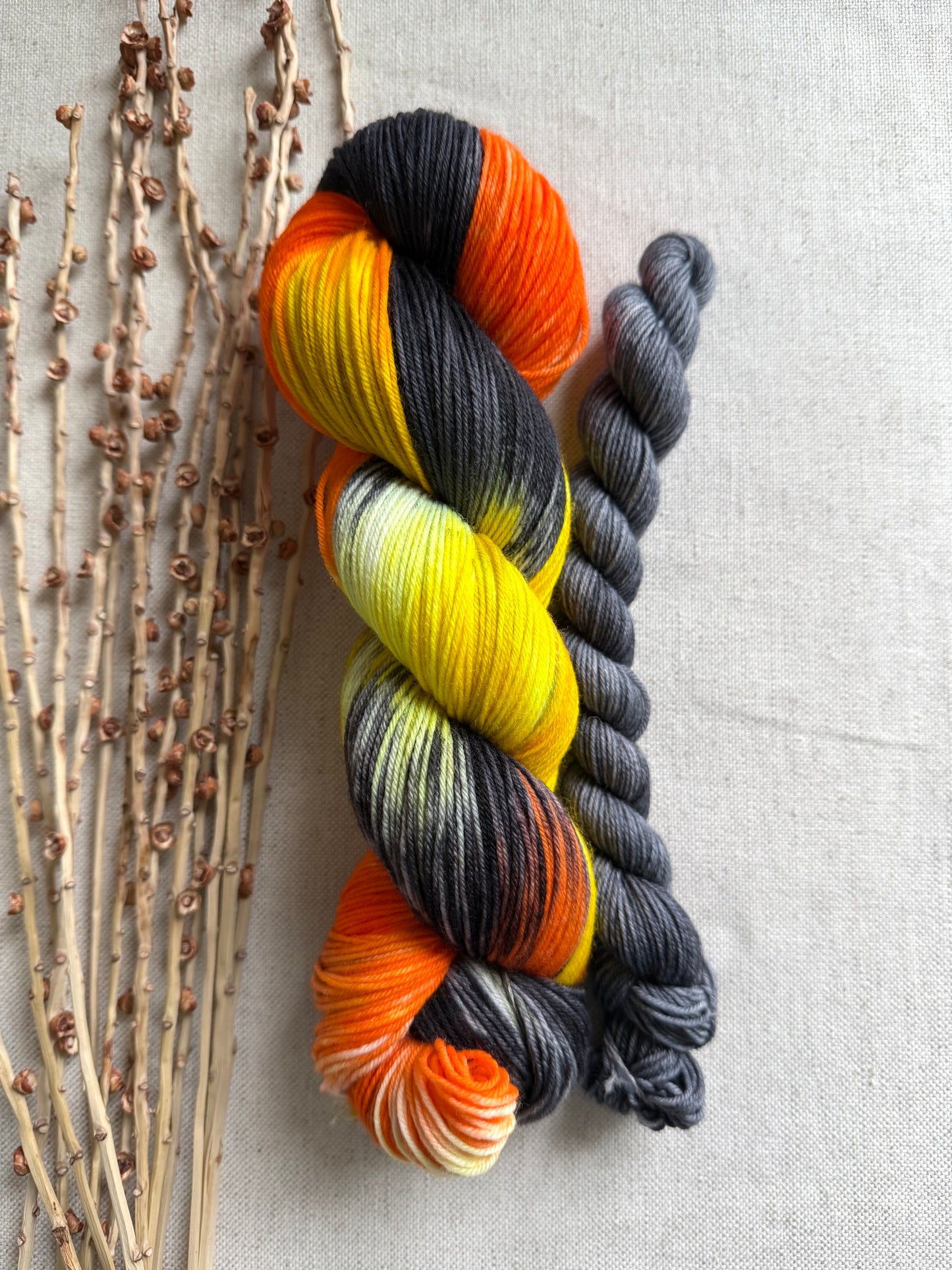 Licorice Twist Sock Set