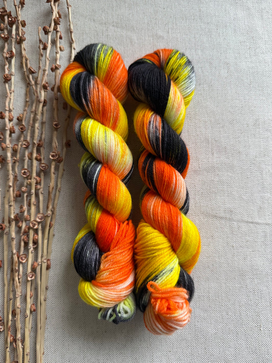 Licorice Twist SW Merino Nylon 50g Skein