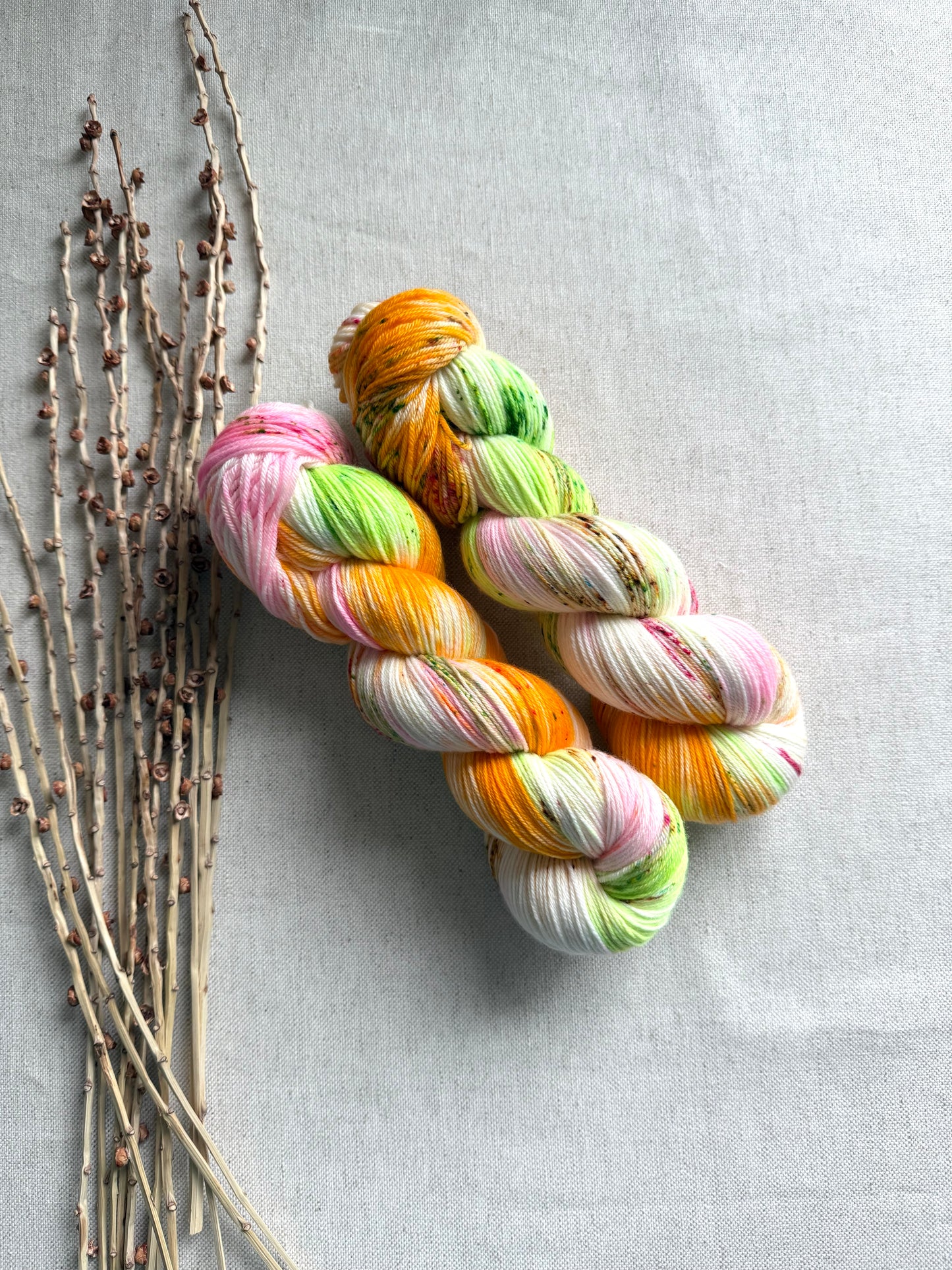 Rainbow Sherbet SW Merino Nylon Yarn
