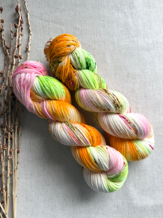 Rainbow Sherbet SW Merino Nylon Yarn