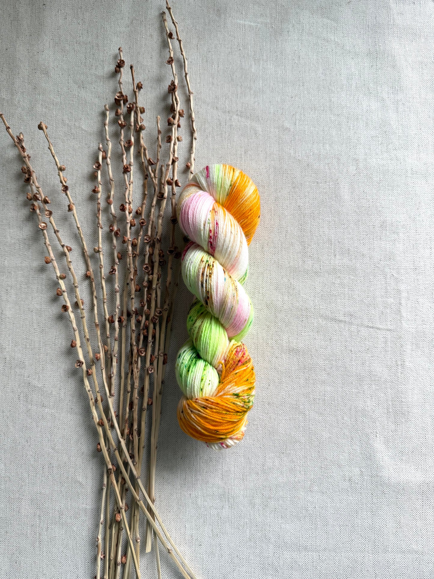 Rainbow Sherbet SW Merino Nylon Yarn