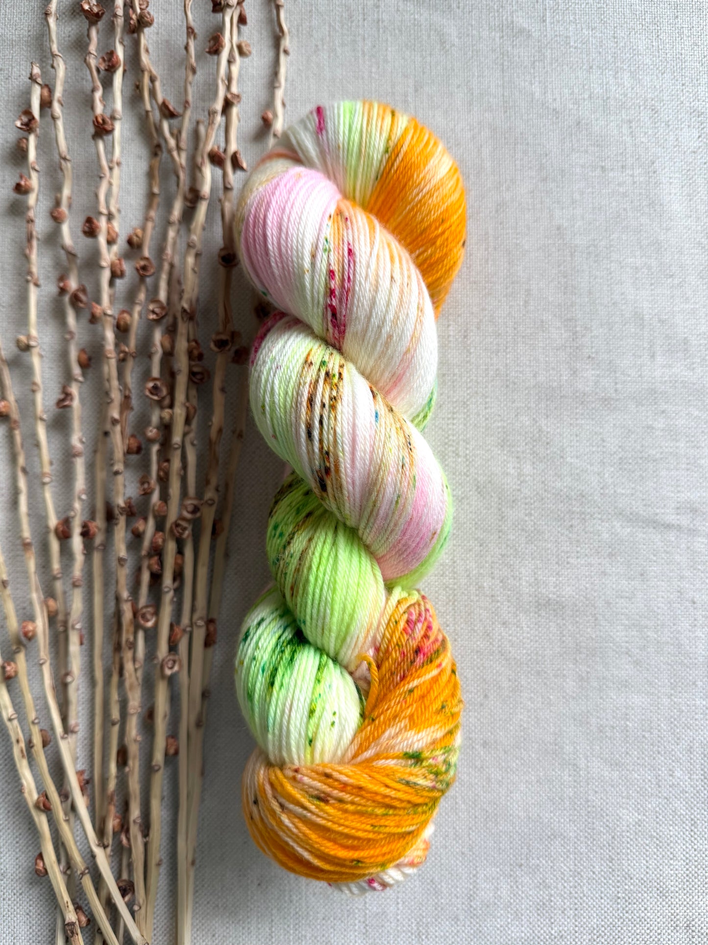 Rainbow Sherbet SW Merino Nylon Yarn