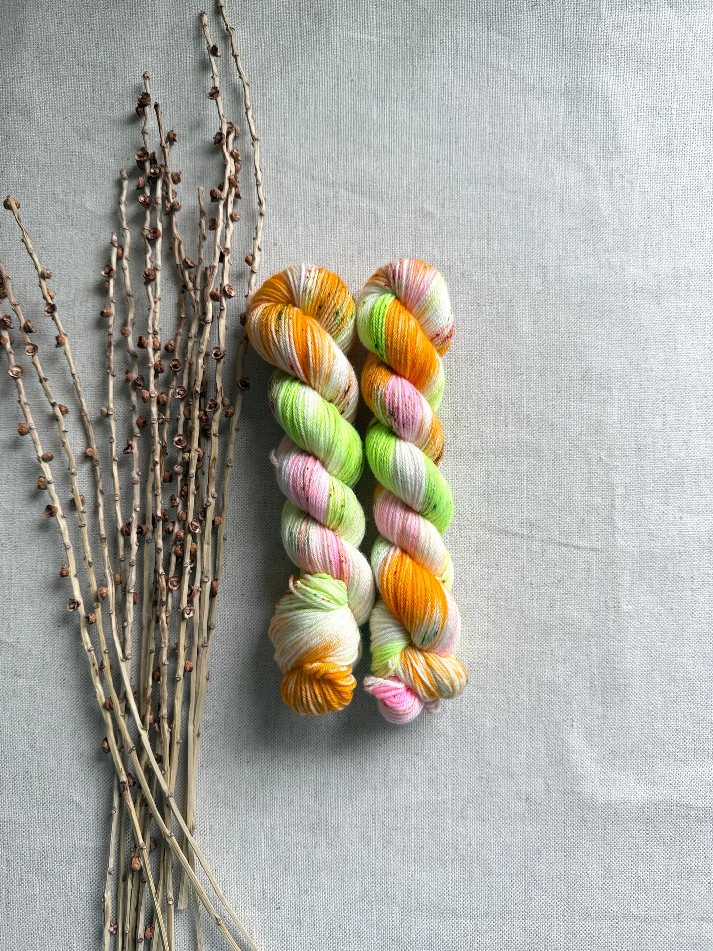 Rainbow Sherbet SW Merino Nylon 50g Skein