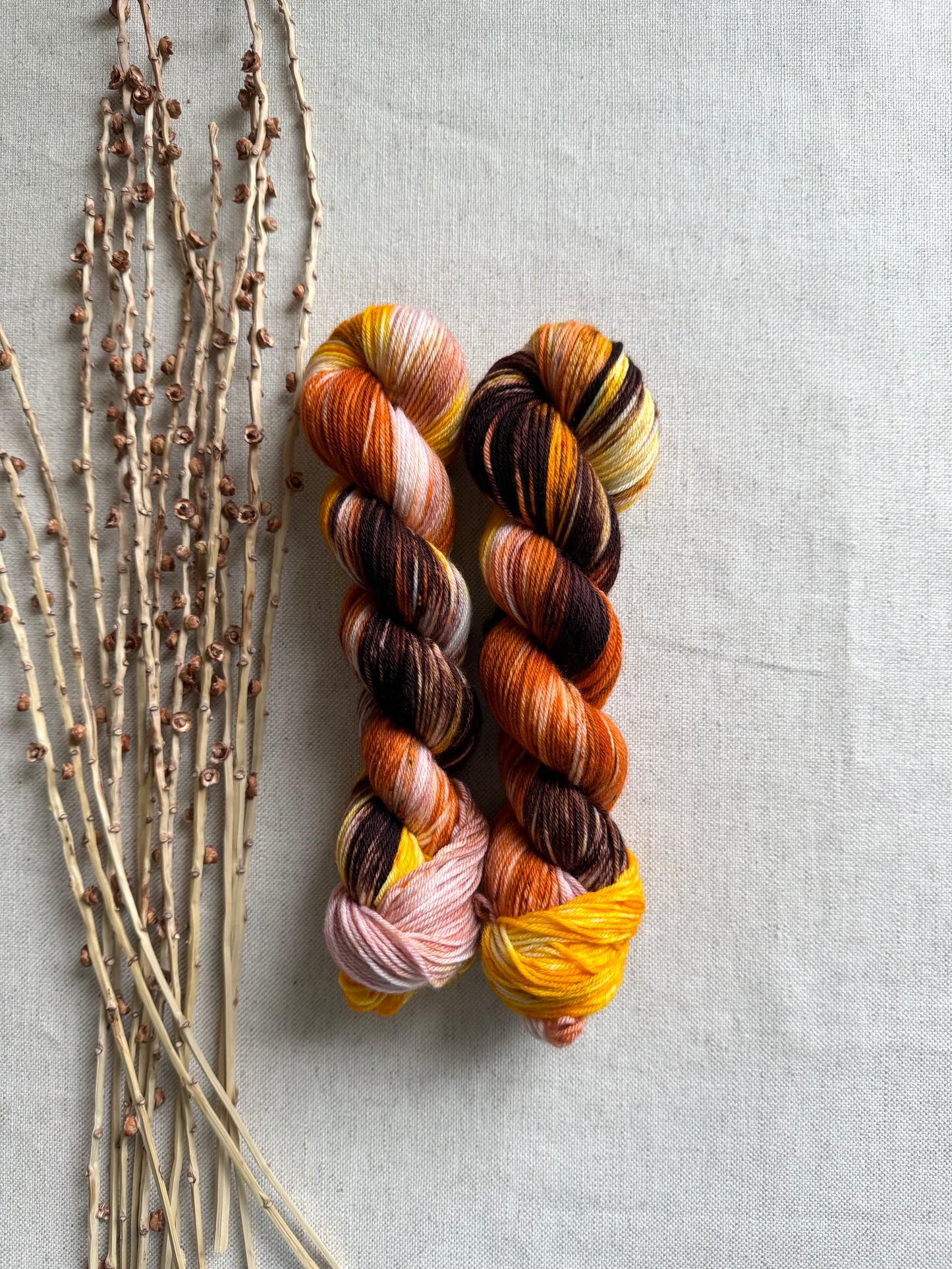 Life Is Gourd SW Merino Nylon 50g Skein