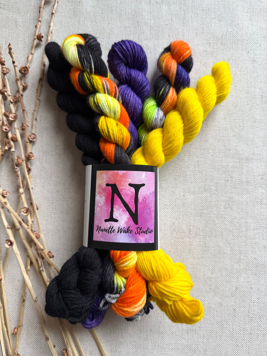 Licorice Twist - SW Merino Nylon Mini Skein Set
